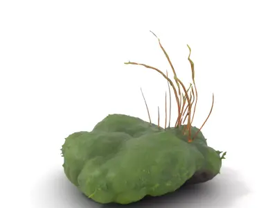 Lush Greenery Arrangement model pack Low-poly 3D model