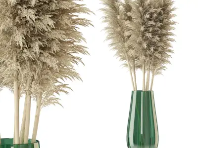 Plants collection 298 3D model