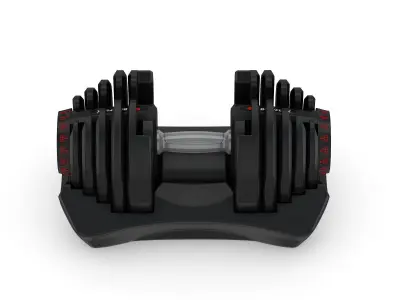 Bowflex Selecttech 1090i Dumbbells 3D model