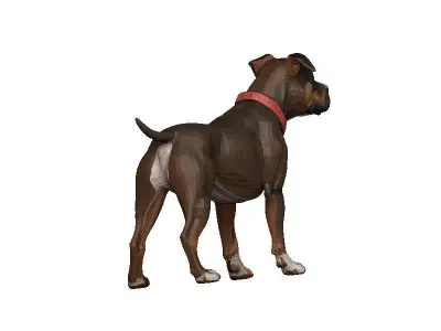 Pitbull Low-poly 3D model