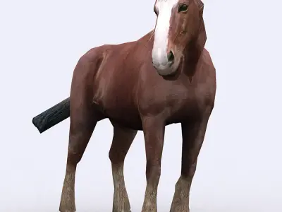 3DRT - Domestic Animals  Low-poly 3D model