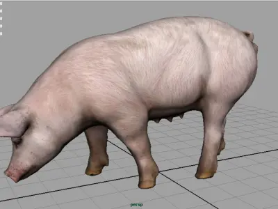 Realistic Sow pig Low-poly 3D model