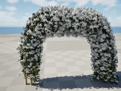 White Crepe Jasmine Arch 3D Asset Low-poly 3D model