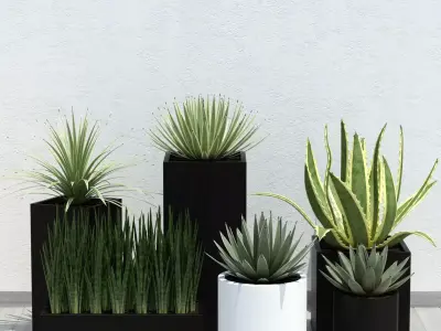 Plants collection 14 3D model