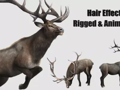 elaphurus deer buck stag reindeer doe Low-poly 3D model