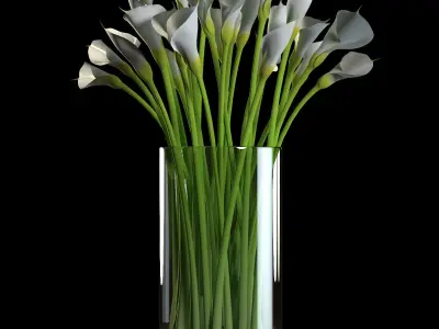 Callas calla lilies in vase 3D model