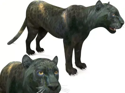 Panther 3D Models game ready low poly model Low-poly 3D model