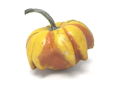 Decorative Gourd Pumpkin Squash Yellow Pepper 3D Scan 3D model