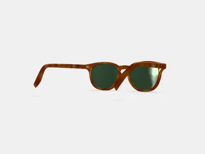 Toddy Sunglasses in Sequoia Tortoise 3D model