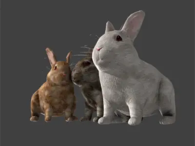 Lovely rabbit three only need friends away with binding 3D model