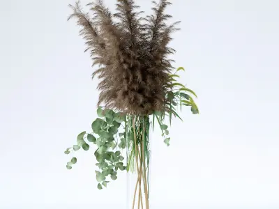Pennisetum and Pampas grass with Eucalyptus 3D model