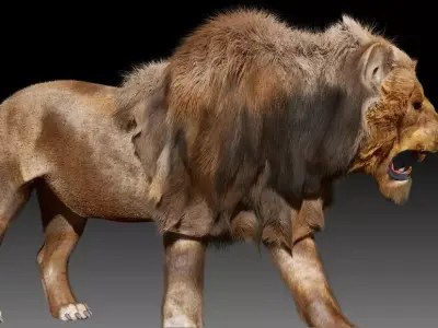 Lion animal 3D model