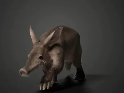 Aardvark Animated VFX Grace 3D model