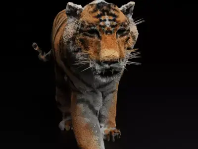 Tigre-Cycle-Walk 3D model