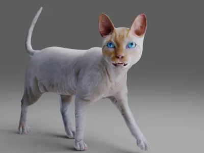 Cat White Rigged and Animated  Low-poly 3D model
