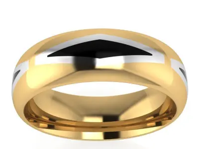 Band Ring 1720 Free 3D print model
