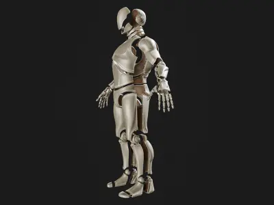 UE4 Mannequin 3D Printable Model 3D print model