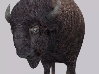 3DRT - Bison Low-poly 3D model