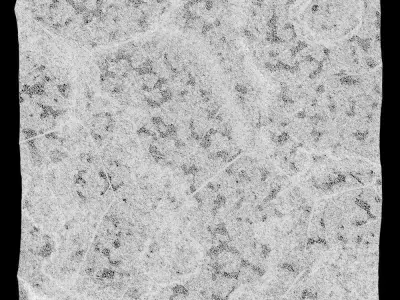 183-RockPanel rock on wall 3D model