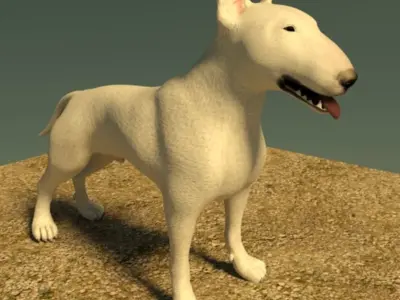 Bull Terrier 3D model