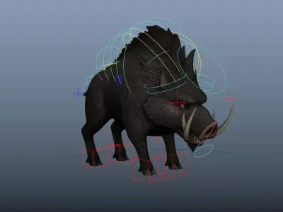 WildBoar 3D model