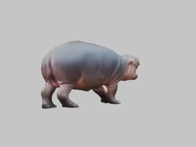 Cute Baby Hippo Roaring 3D Model Low-poly 3D model