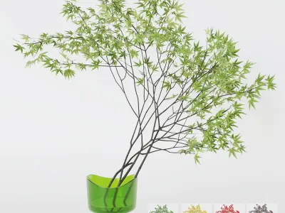 Decorative branch japanese maple 3D model