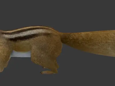 Squirrel chipmunk Low-poly 3D model