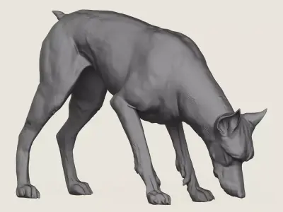 Doberman Dog Eating 3D print model