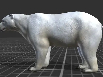Polar Bear Low-poly 3D model