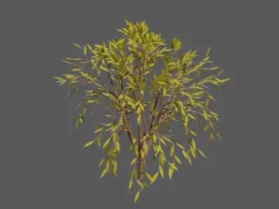 Season Tree Pack 3D model