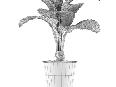 Plants Collection 52 3D model