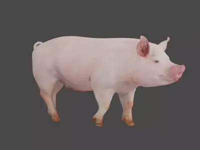 pig in pink 3D model