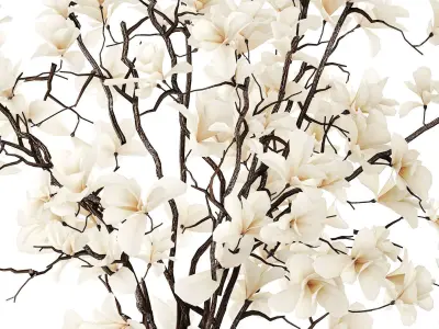 White bouquet of branches of blooming magnolia vase 345 3D model