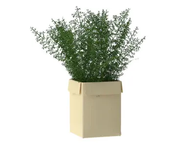 Pot Plant Nr 14 3D model