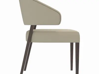 Kaya Dining Chair 3D model