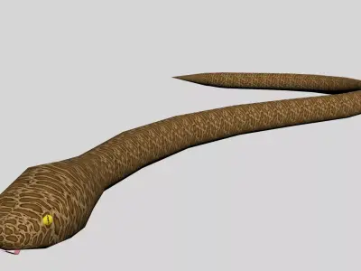 Snake Python Low-poly 3D model