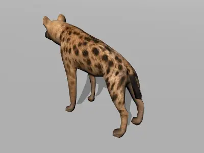 hyena Low-poly 3D model purchase