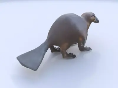 Platypus 3D model