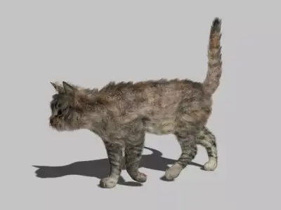 Cat - Rigged Animated Low-poly 3D model