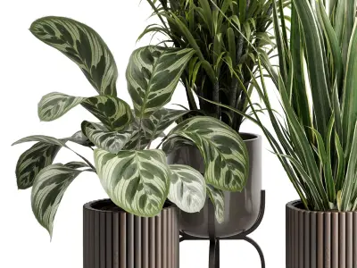 Tree bush palm plant in a Wooden pot - Indoor Plant 662  3D model