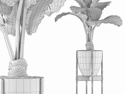 Plants Collection 77 3D model