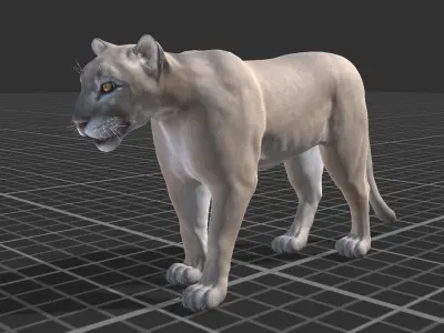 Cougar  Low-poly 3D model
