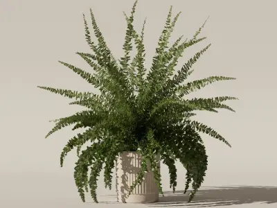 Fern in modern flower pot 3D model
