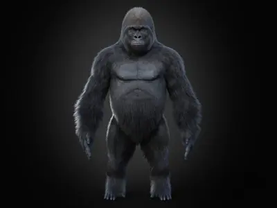 Gorilla 3 STATIC XGEN CORE 3D model