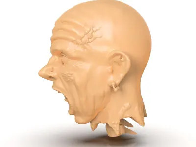 Decapitated Man Head 3D print model