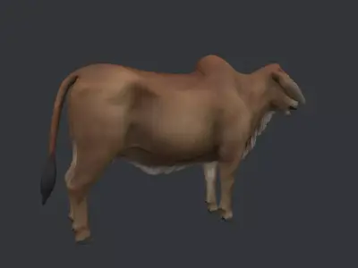 Indian Cow Low-poly 3D model