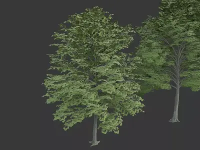 Low Poly Free Tree Pack 1 Free low-poly 3D model