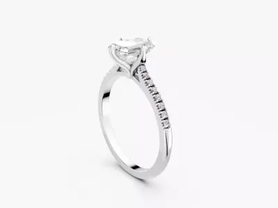 ZABS0013B EM engagement 3D print model