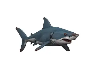 Shark Low-poly 3D model 48